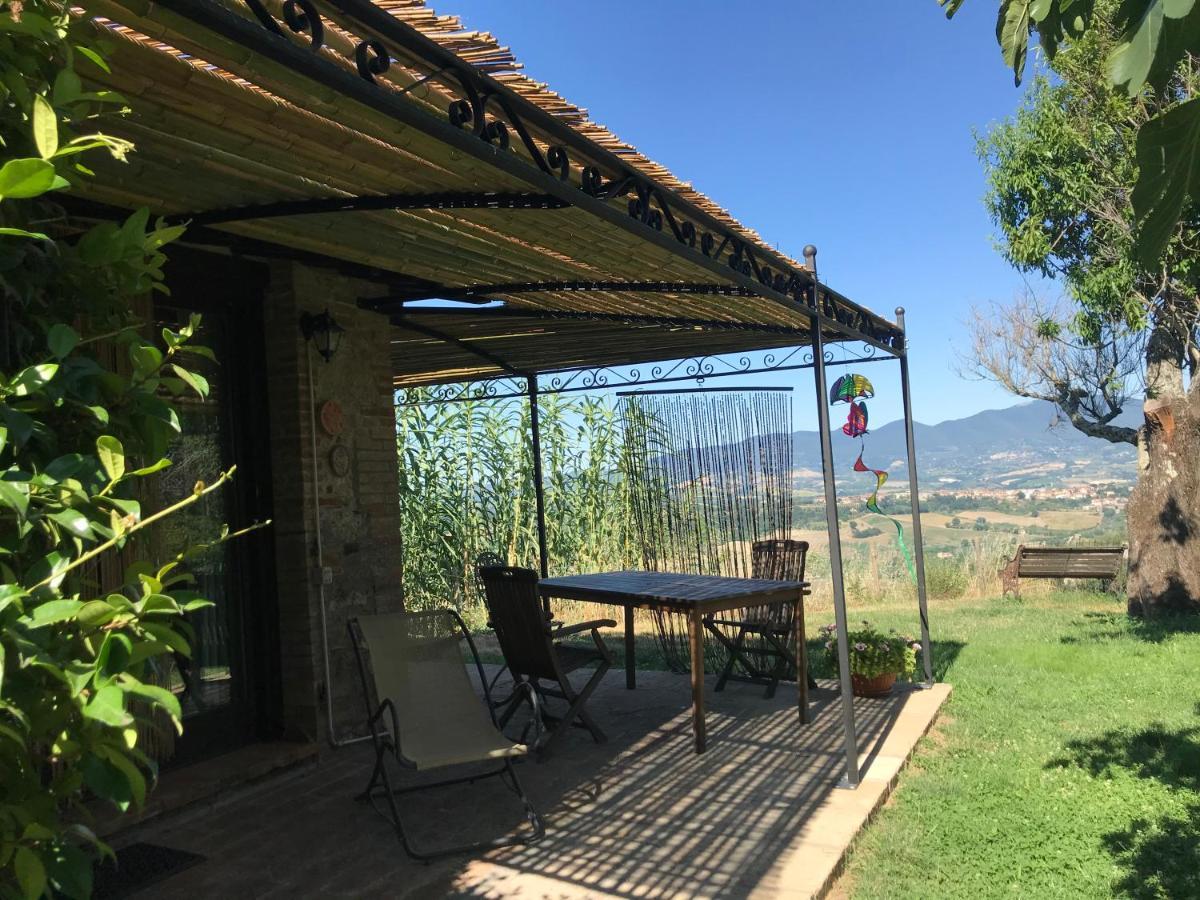 Podere Porcino Civitella dʼAgliano Exterior foto