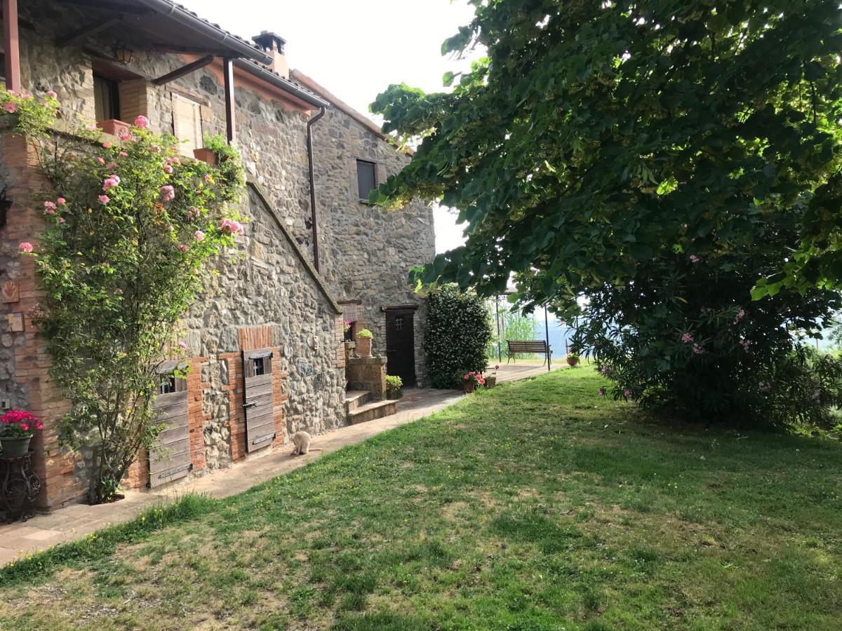 Podere Porcino Civitella dʼAgliano Exterior foto