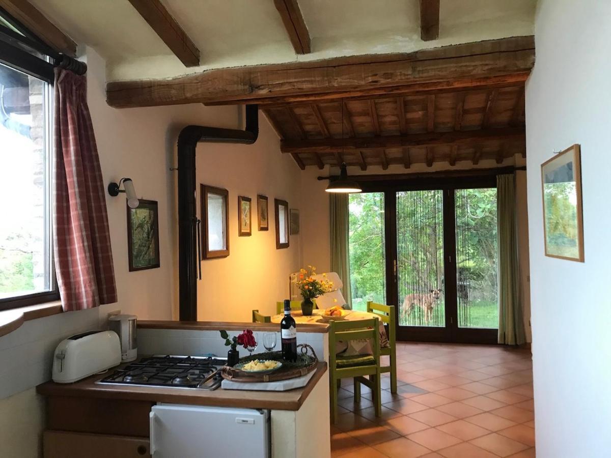 Podere Porcino Civitella dʼAgliano Exterior foto