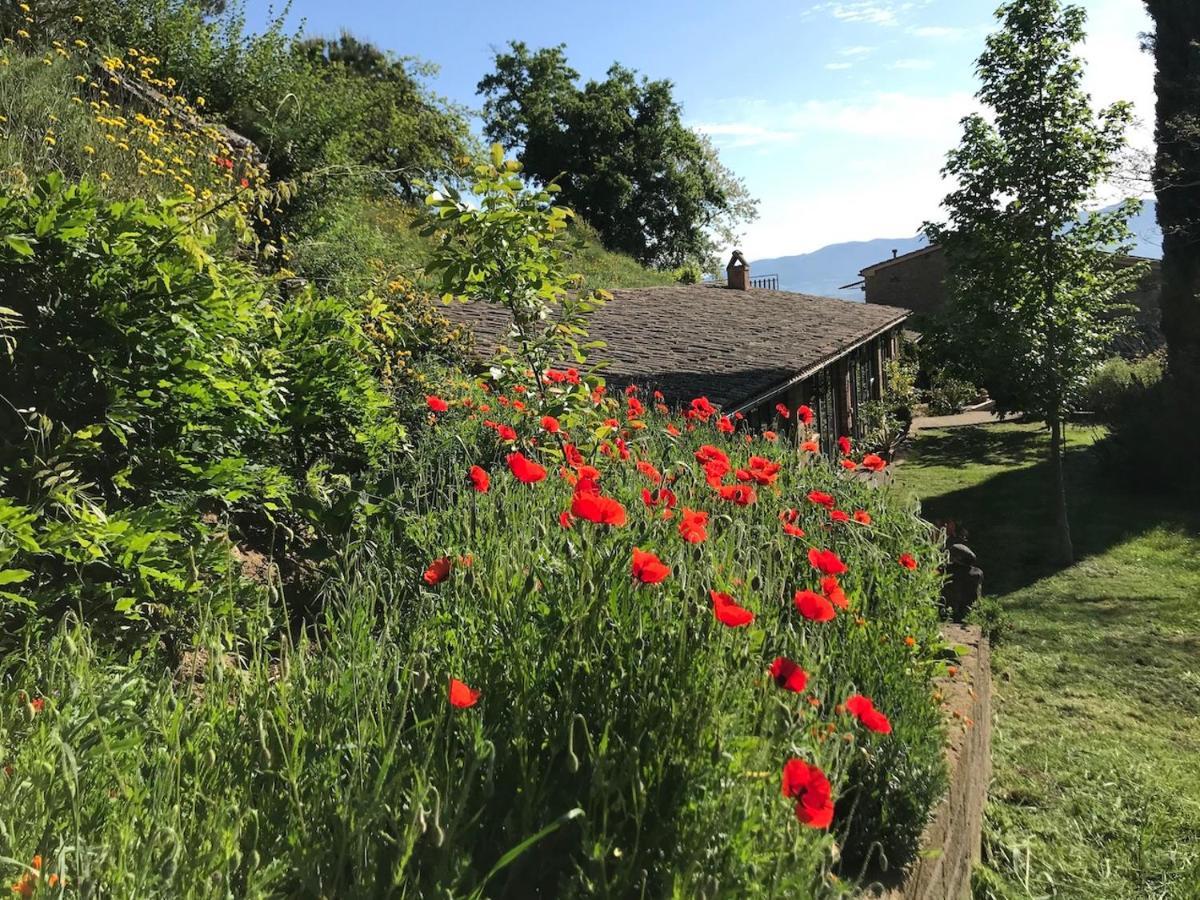 Podere Porcino Civitella dʼAgliano Exterior foto