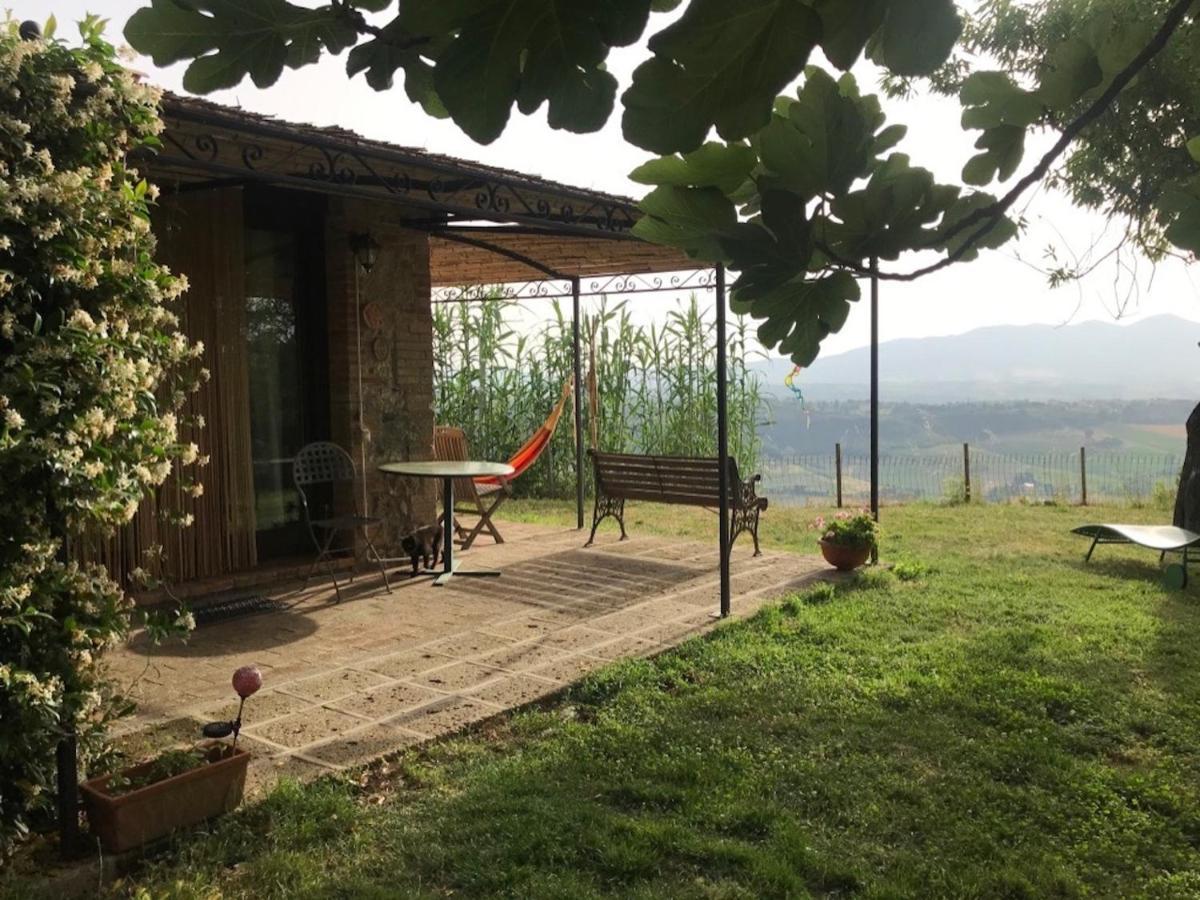 Podere Porcino Civitella dʼAgliano Exterior foto