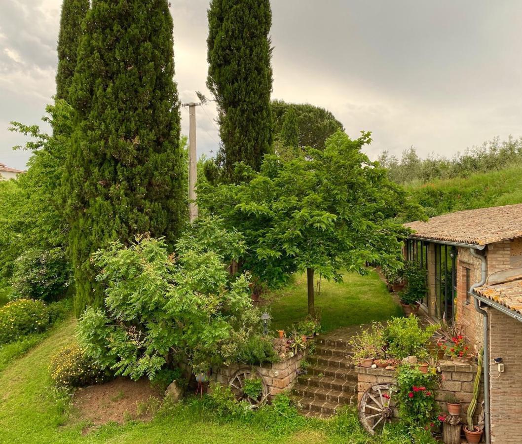 Podere Porcino Civitella dʼAgliano Exterior foto