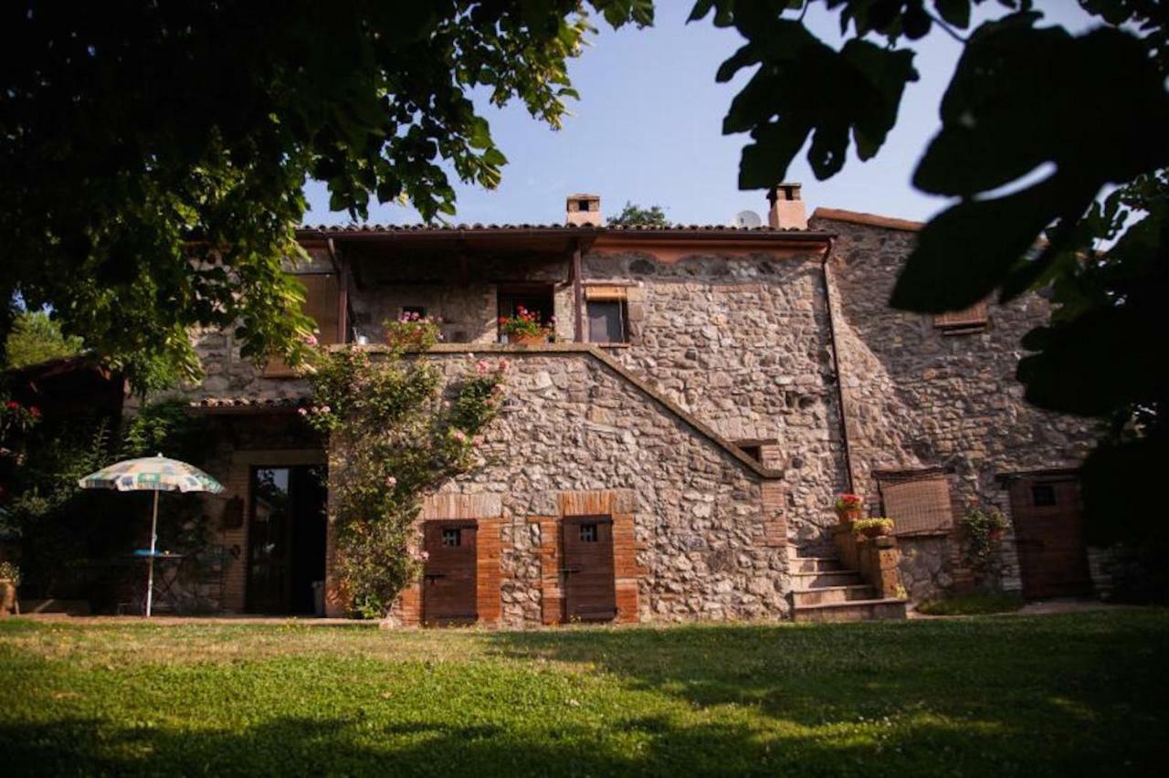Podere Porcino Civitella dʼAgliano Exterior foto