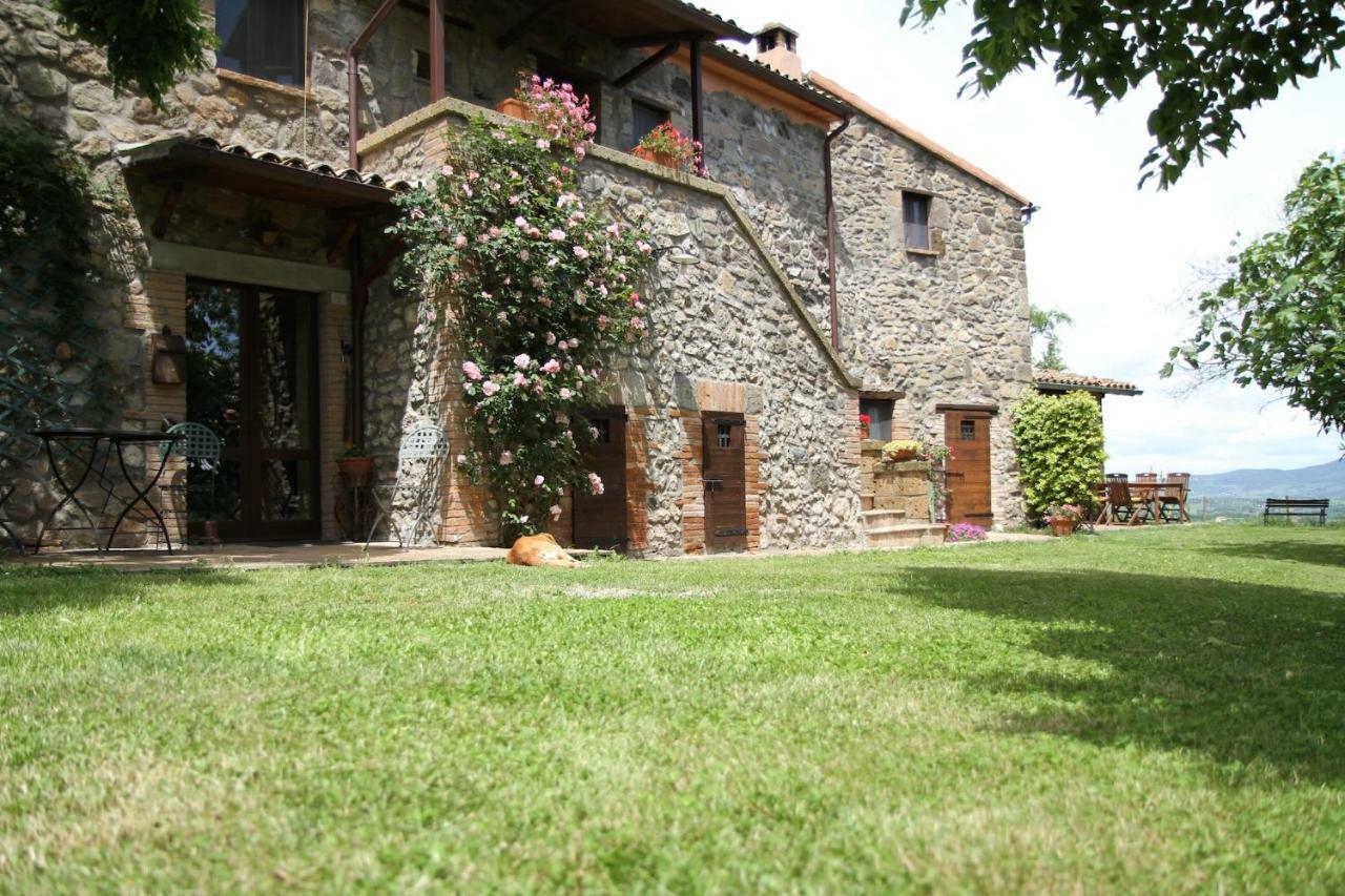 Podere Porcino Civitella dʼAgliano Exterior foto