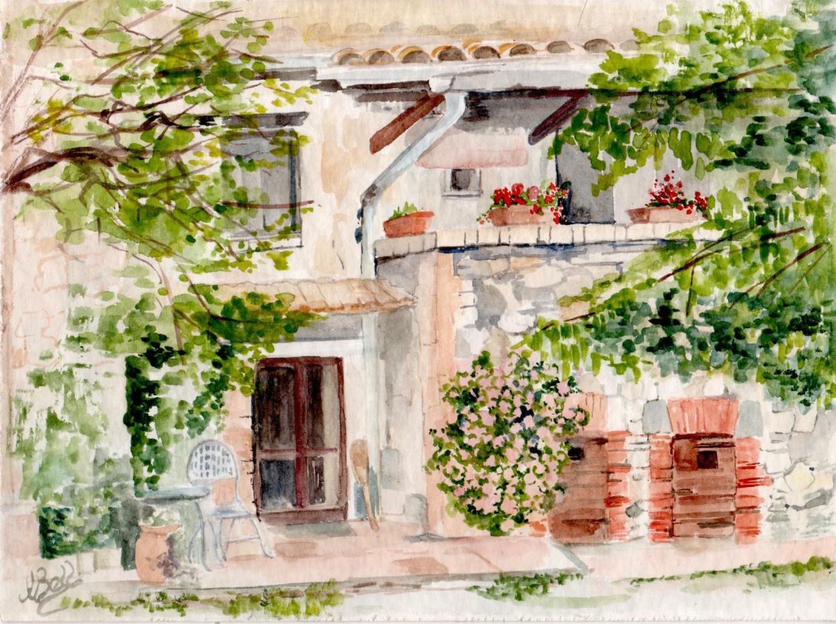 Podere Porcino Civitella dʼAgliano Exterior foto