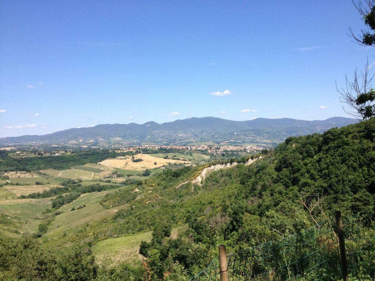 Podere Porcino Civitella dʼAgliano Exterior foto
