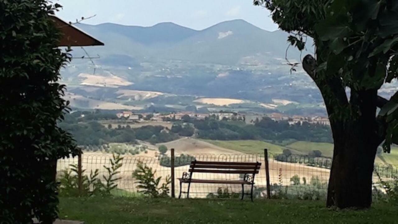 Podere Porcino Civitella dʼAgliano Exterior foto